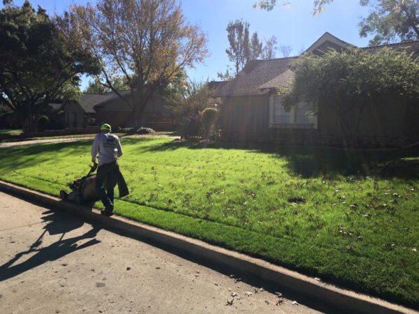 Landscaping company in Norman, OK